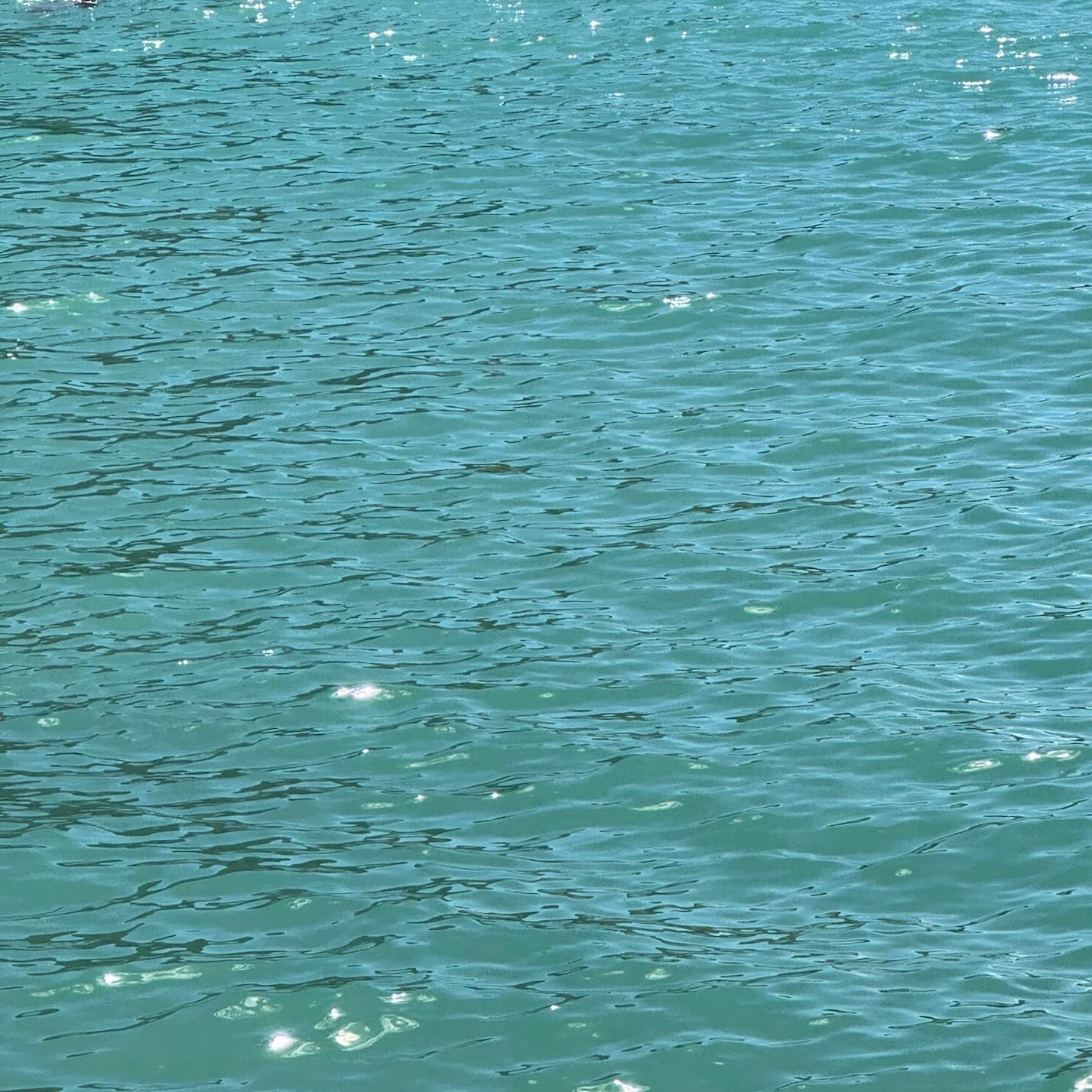 header_image